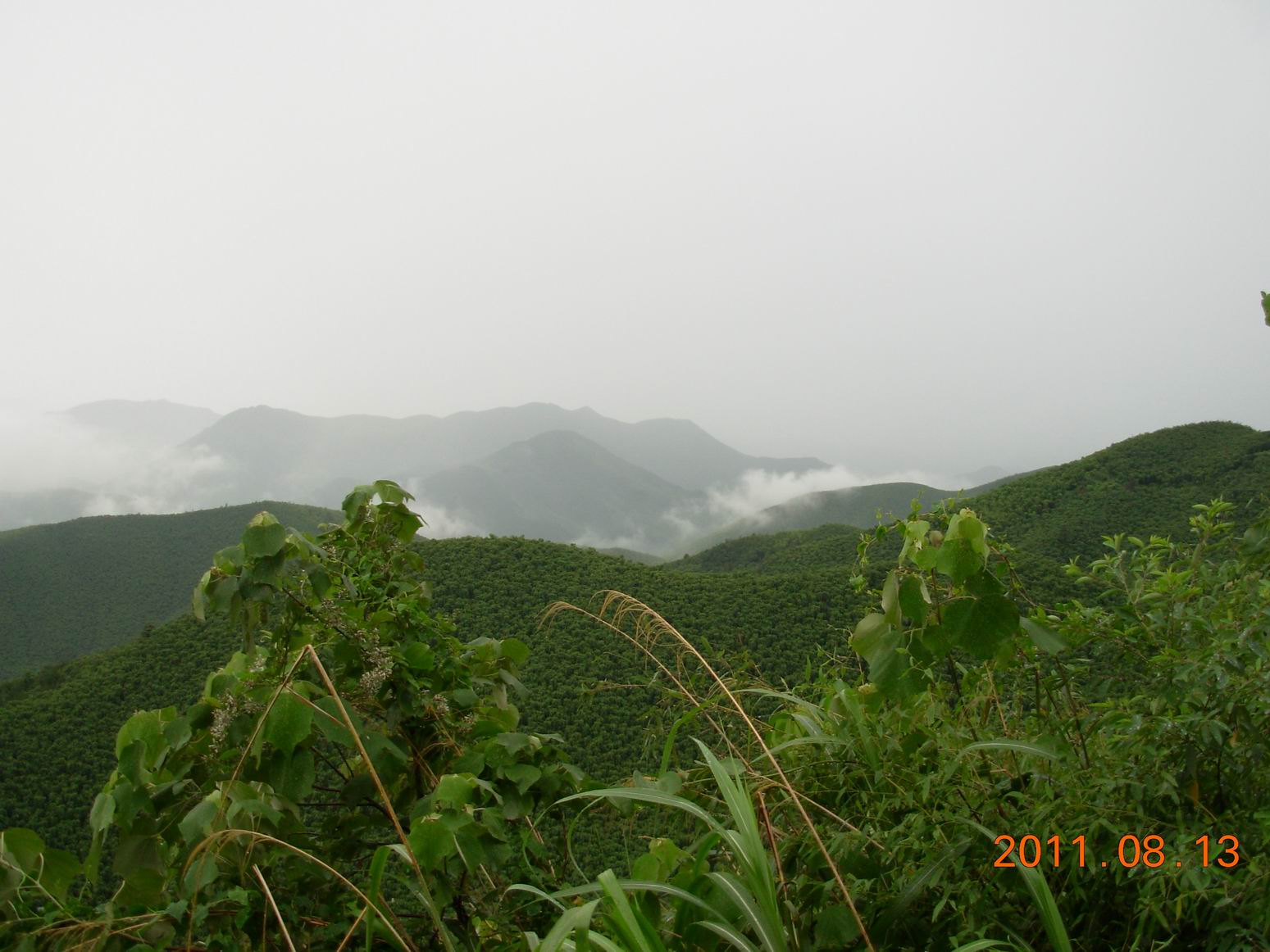 抓山鸡_如何抓山鸡_超声波抓山鸡_淘宝助理
